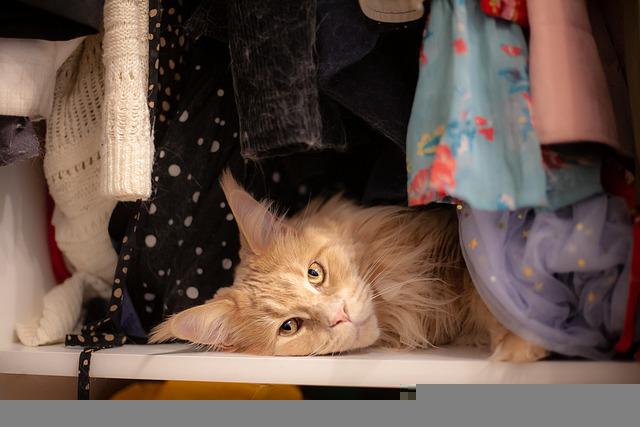 U vestavěných skříní na míru záleží na vnitřní koncepci i na vzhledu posuvných dveří